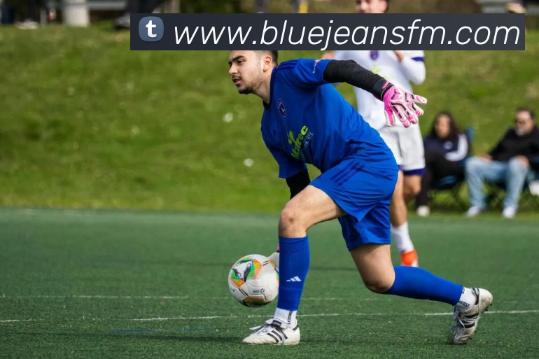 数据分析功能